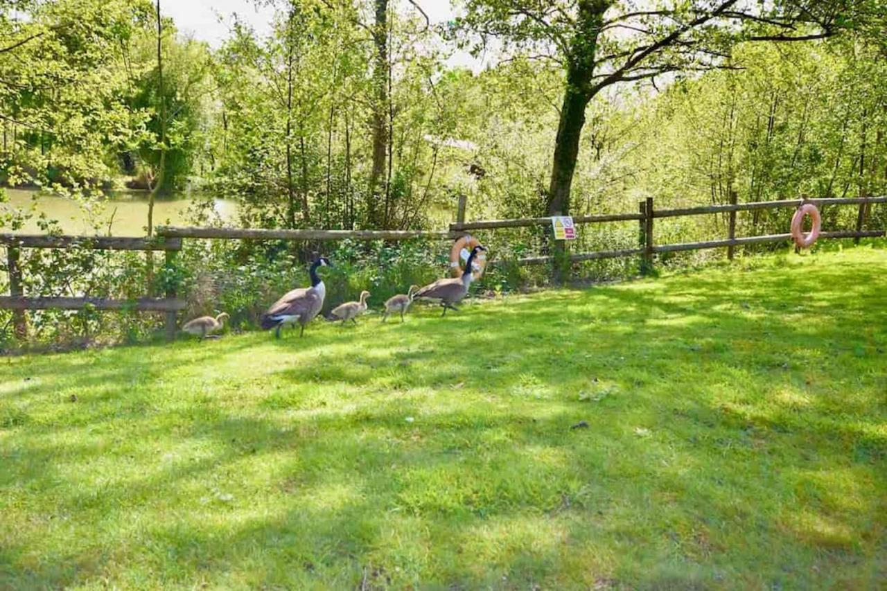 Vila E7 Roebeck Country Park Ryde  Exteriér fotografie